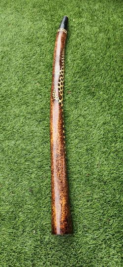 Didgeridoo