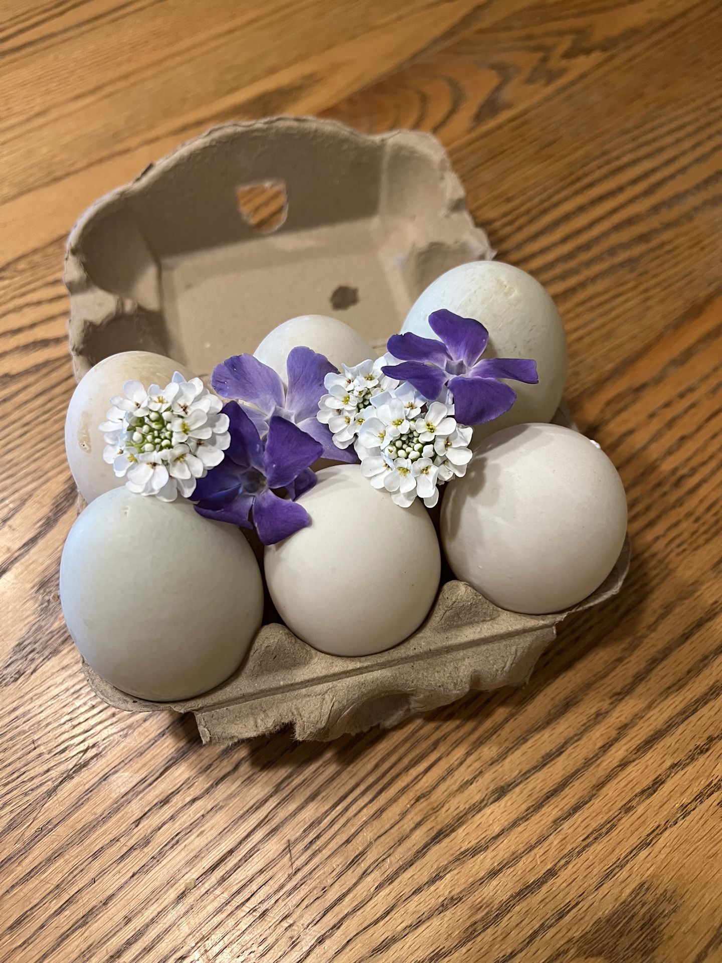 Farm Fresh Unwashed Refrigerated Blue And White Duck Eggs