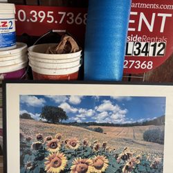 Beautiful Picture Large Great Conditions 