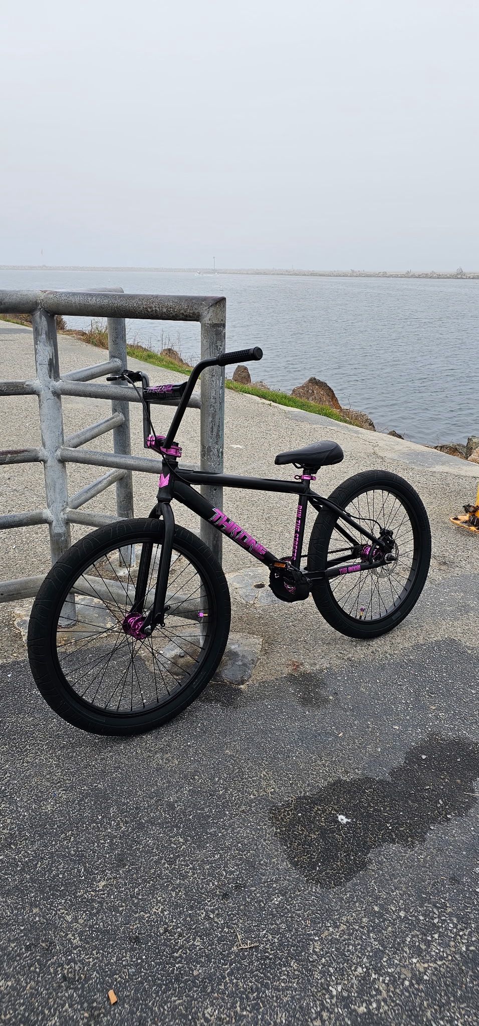 Throne Bike 24 Inch Brand New