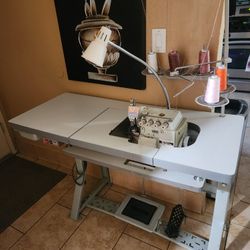 Sewing Machine(Industrial)
