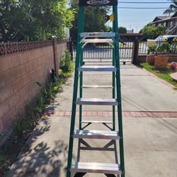 Werner 6ft Fiberglass Ladder
