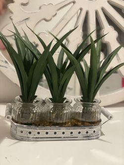 Decorstion Plant