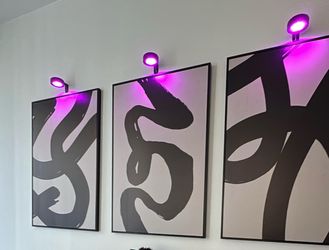 Abstract canvases