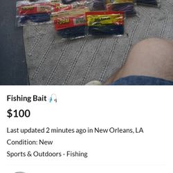 Fishing 🎣 Bait 