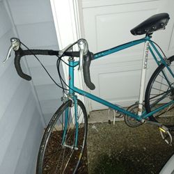 10-Speed Adult Bike For Sale 