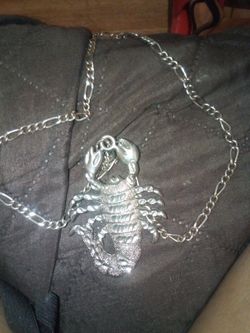 A Scorpion Necklace