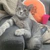 Robert
