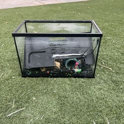 Fish Tank