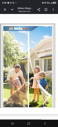 Magnetic screen door