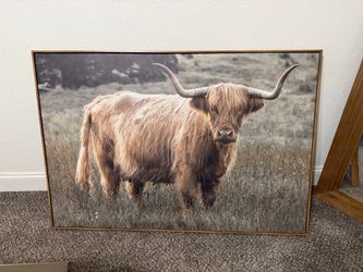 Highland Cow Framed Canvas Wall Art