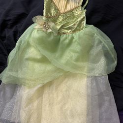 Tinker bell Dress And Shoes Size 9/10