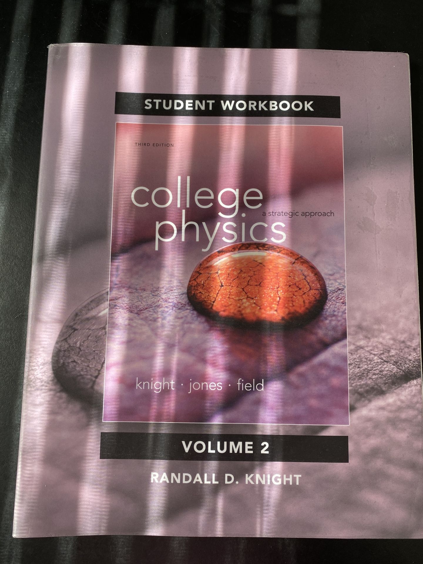 College Physics Student Workbook Volume 2 Knight