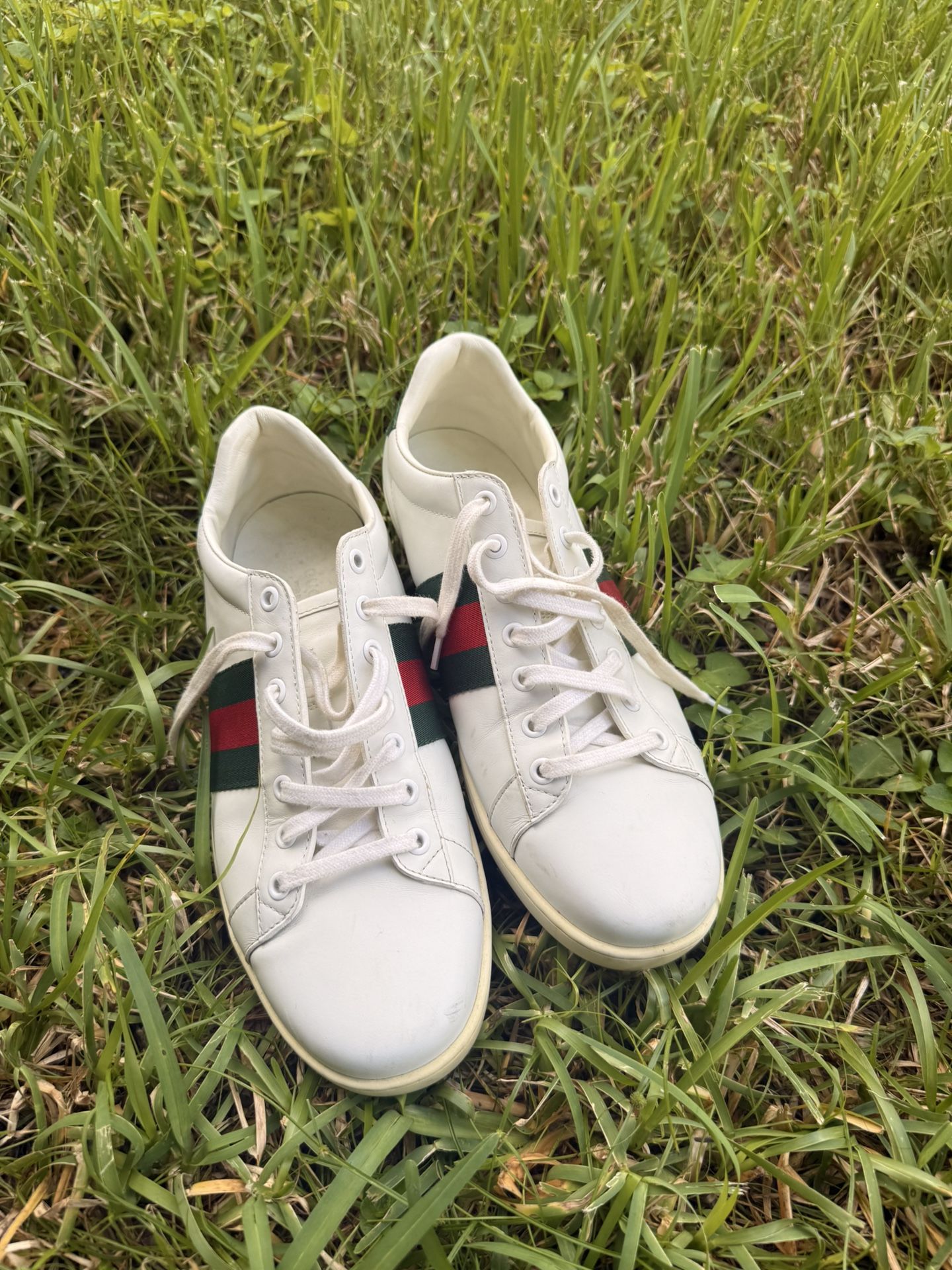 Gucci Ace Sneaker 10.5