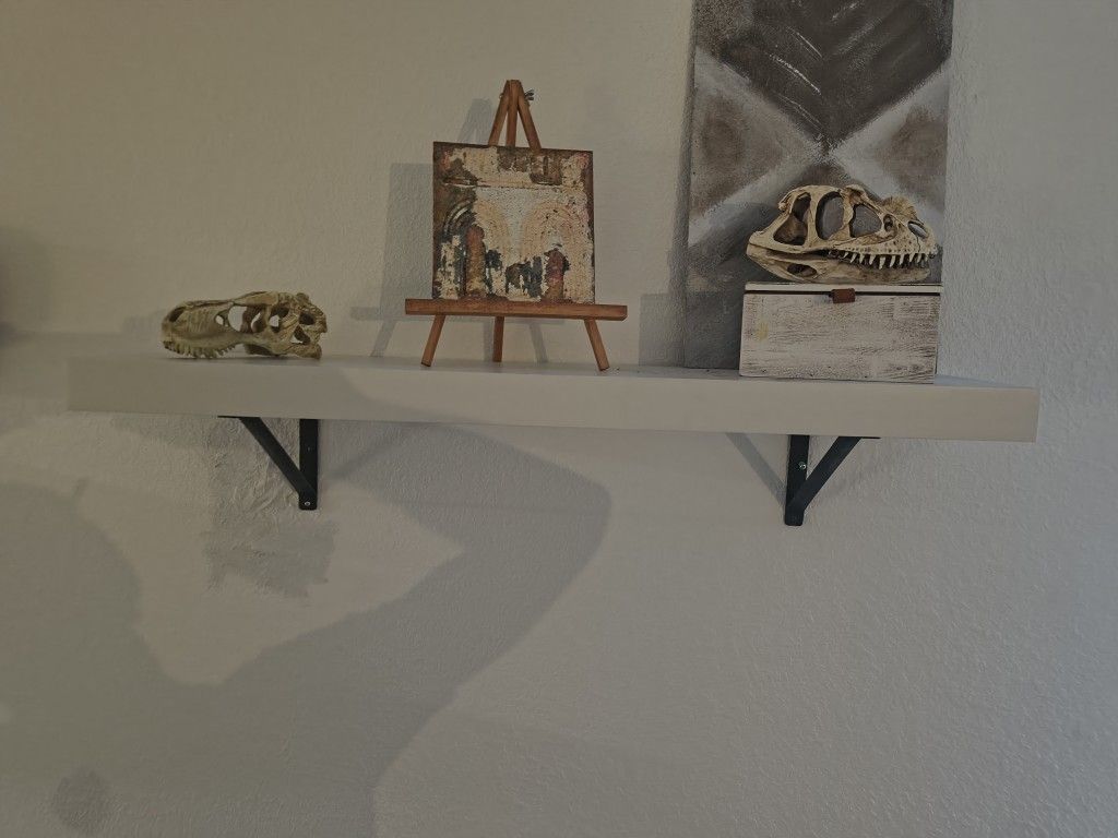 Wall Shelves (Qty2)