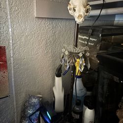 Real Otter Skull Lamp 
