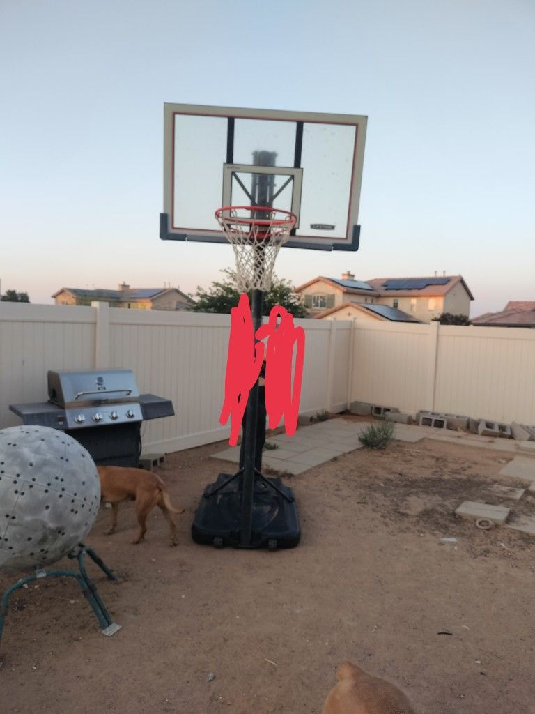 Basketball Hoop