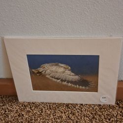 Snowy Owl ( signed by artist )