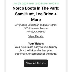 NORCO BOOTS IN THE PARK COUNTRY MUSIC SAM HUNT LEE BRICE