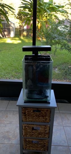 5 Gallon Saltwater Setup