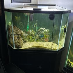 80 Gallon Corner Tank With Everything Under Cabinet Filter