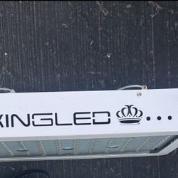 King Led 1200w