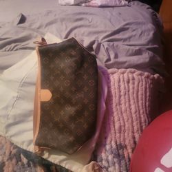 Louis Vuitton Authentic  Purse