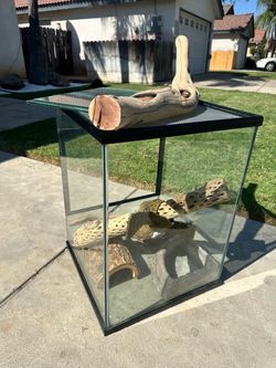 Terrarium