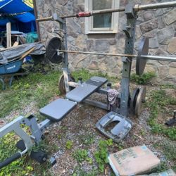 Workout Branch and Weights 