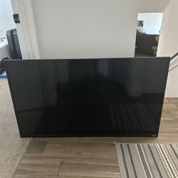 48 Inch TV