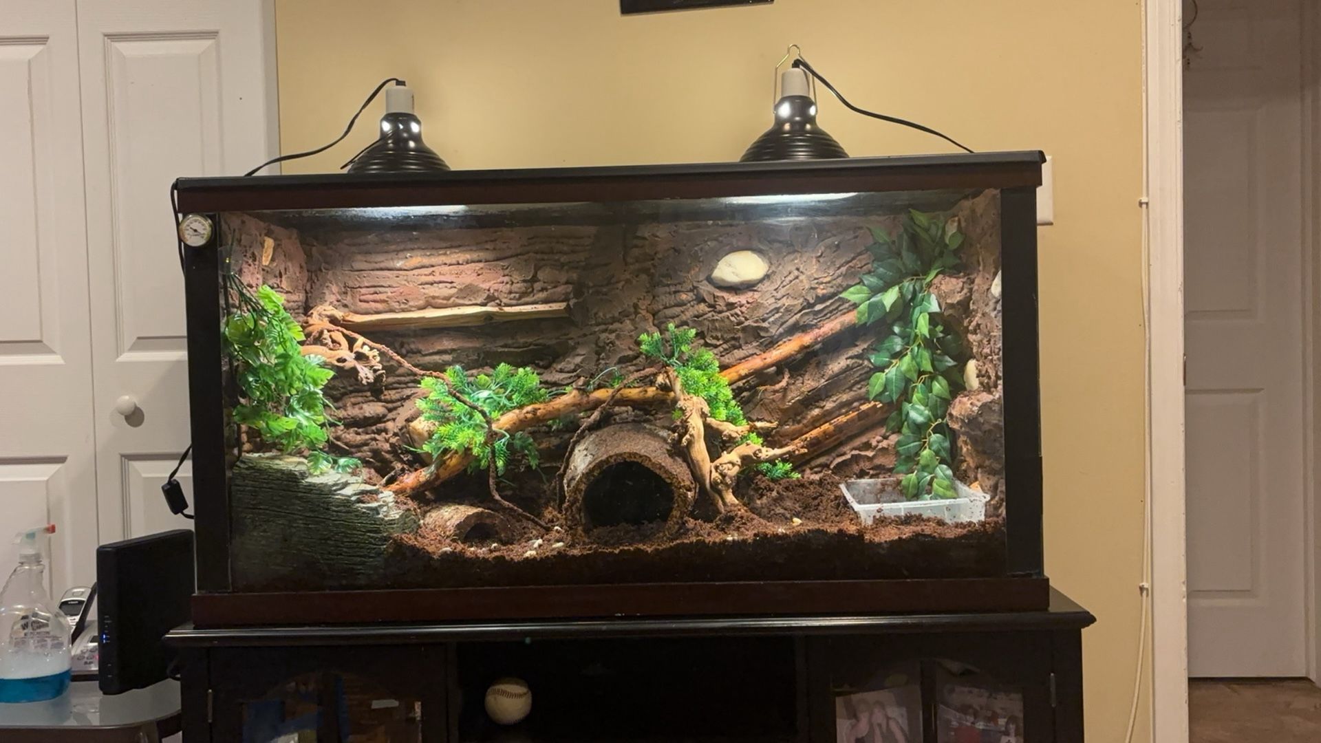 90 Gallon Reptile Tank Fully Decked Out 