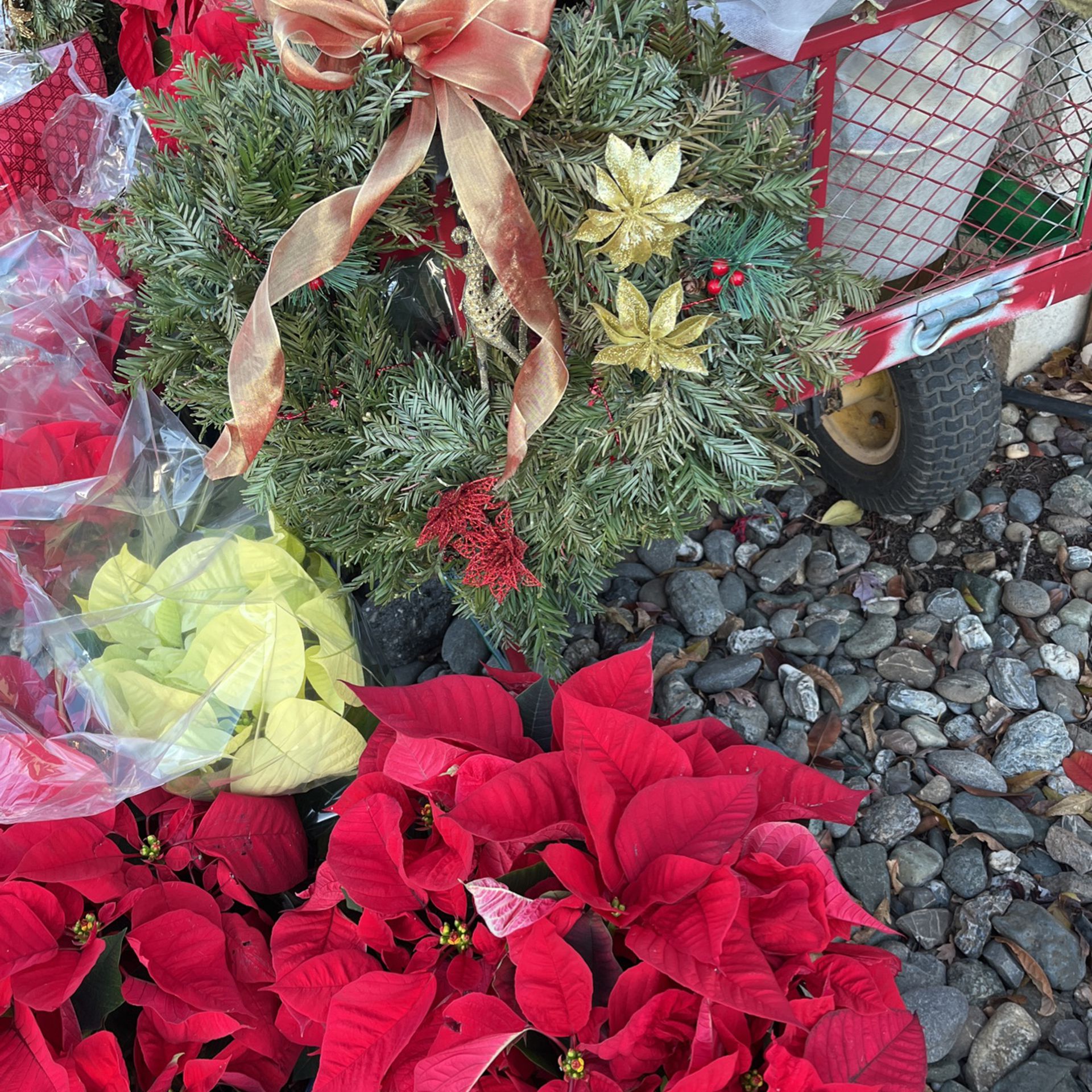 Wreathes Handmade and Poinsettis