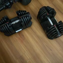 Bowflex Dumbbells 1090