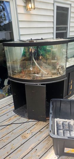 Corner fish tank approx 80 Gal