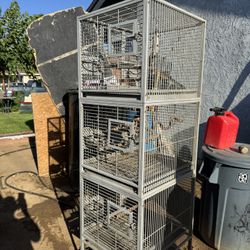 Bird Cage