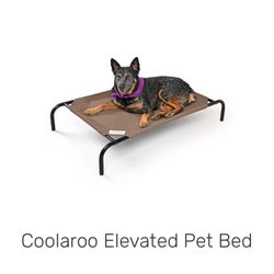 Dog Bed