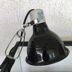 New Light fixture, Lightbulb/holder For Reptile Tank