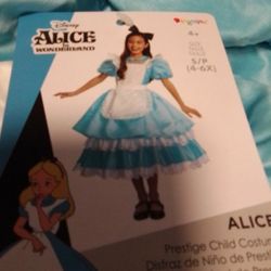 Alice In Wonderland Costume