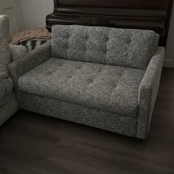 Love Seat / Sleeper Couch 