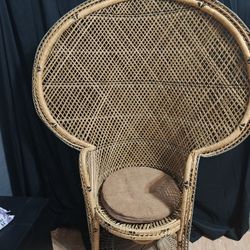 Peacock Chair 