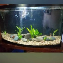 Half Moon Fish Tank