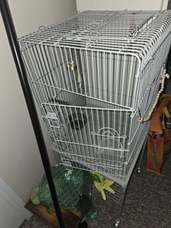 Medium bird cage