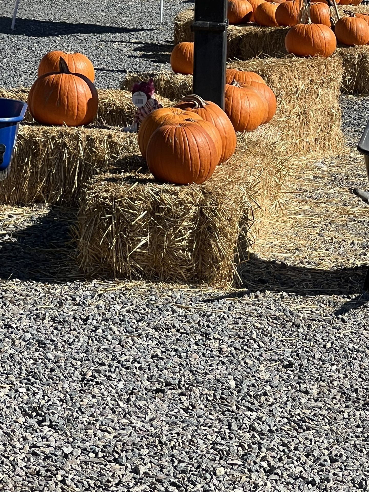Straw Bales $2 Ea