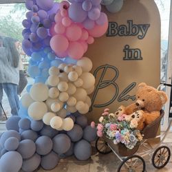 Baby In Bloom Signs/Stroller