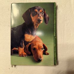 Hallmark Blank Cards with Envelopes 