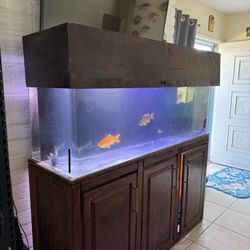 Fish Tank Aquarium 125 Gallon Acrylic 
