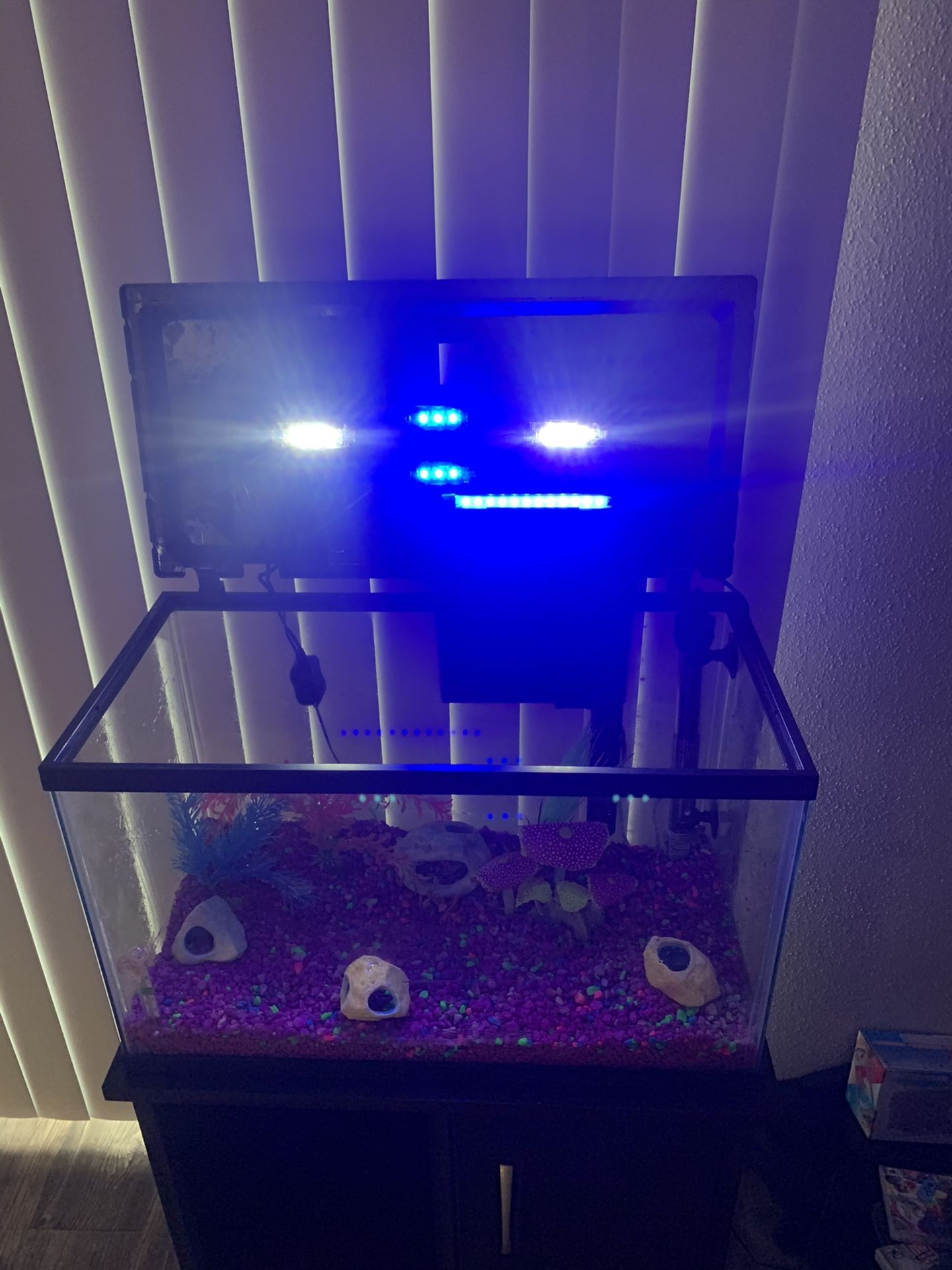 Glow Fish Tank