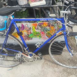 Bridgestone Road Bike
