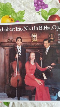 Schubert Trio No 1 in Bb