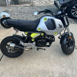 2023 Honda Grom